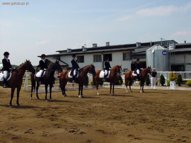Halowe Zawody Towarzyskie w Ujeżdżeniu Przymiłowice 2011
