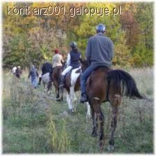 Zasady udanej przejażdżki konnej