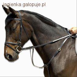 Pomoce jeździeckie
