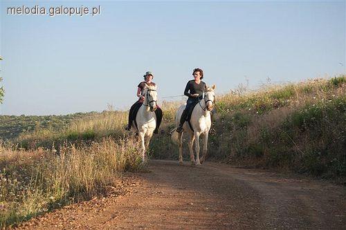 Wyprawa w teren