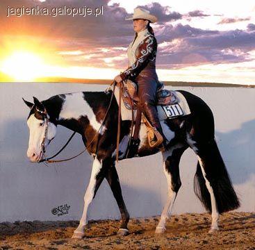 Western Pleasure