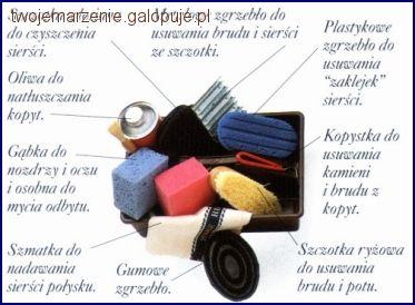 Czyszczenie konia