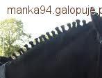 Pierwsze koreczki
