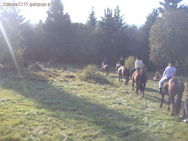 Wycieczki do Gór Sowich