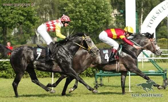 Wyścigi konne na Służewcu - rusza sezon 2011