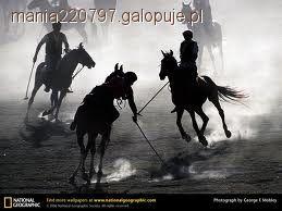 Polo;]