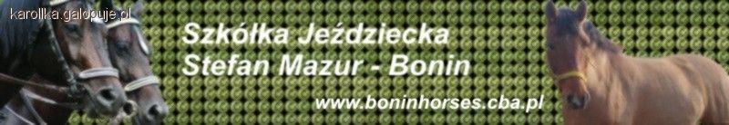 ZT-B Bonin