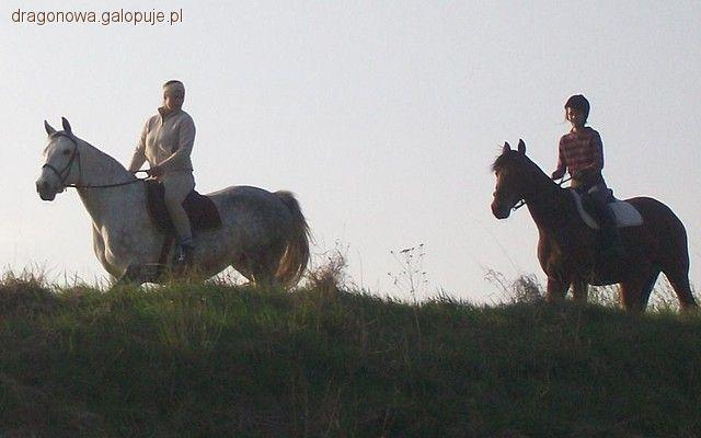 Wiosenny teren