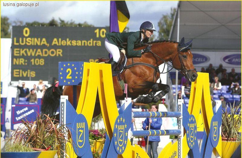 Zawody w Belgii i Meydan FEI Nations Cup Top League 2011