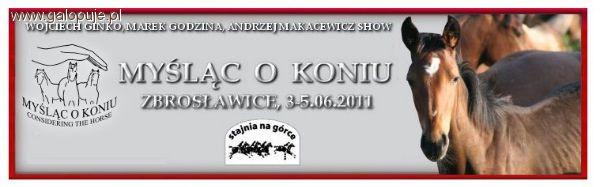 Myśląc o koniu - Stajnia na Górce Zbrosławice zaprasza 