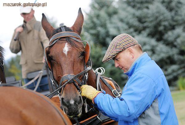 Mazurek Horse Team na Warsaw Horse Days 2011