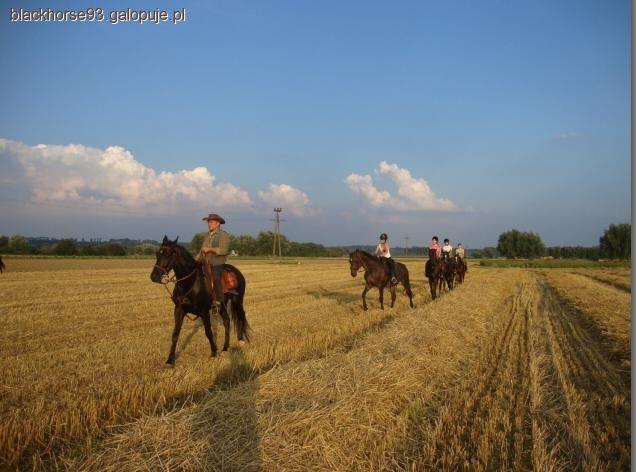 II rajd konny