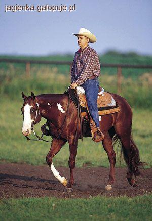 Western Riding
