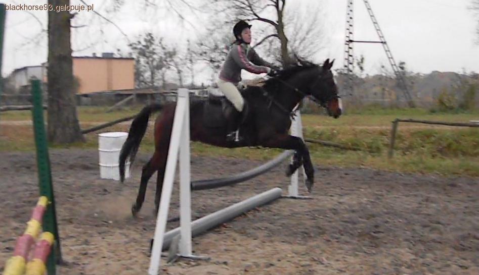 Mały trening jeździecki po małej przerwie