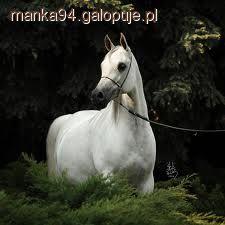 Piękny sen