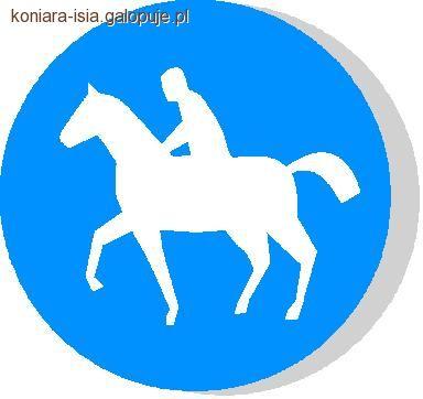 Teren jazdy konnej ,czyli o co pytać