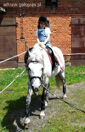 Sezon jeździecki 2011 czas zacząć!!