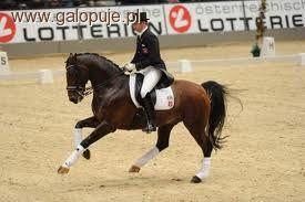 Michał Rapcewicz - I miejsce na CDI5* World Dressage Master Palm Beach !