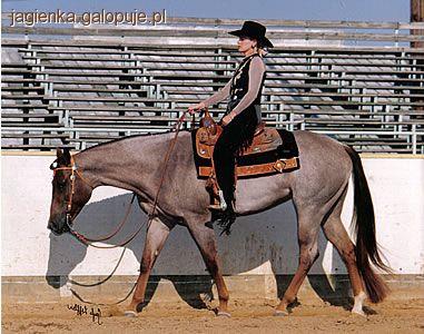 Western Pleasure