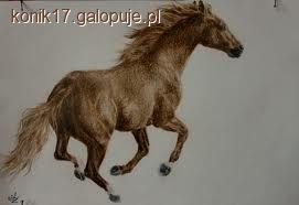 Ciało 