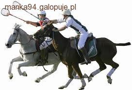 Polocrosse dyscyplina jeździecka  
