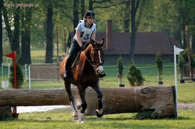 Krajowe Zawody WKKW CNC1*, P, L i LL - rusza sezon 