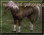 Parametry życiowe