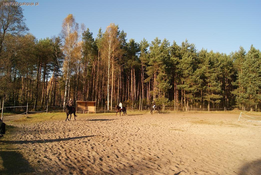Zasady na ujeżdżalni