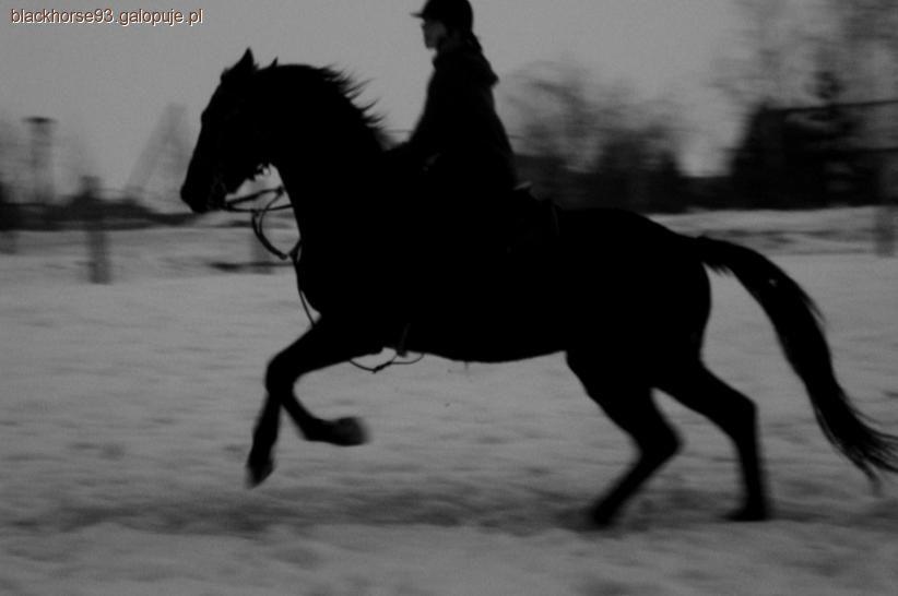 Pierwszy galop - nic strasznego! 