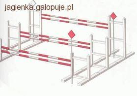 Skoki przez przeszkody - najczęstsze problemy