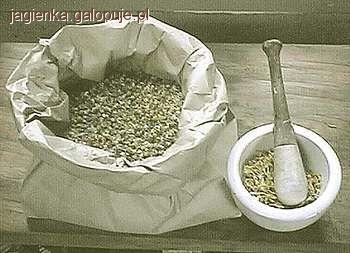Pasza dla konia