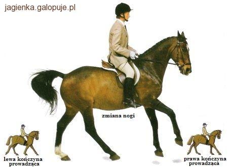 Początki jazdy cz. II