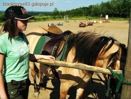 Jak to się wszystko zaczęło... cz. 1