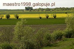 Wysoczyzna Elbląska- idealne miejsce na rajd.