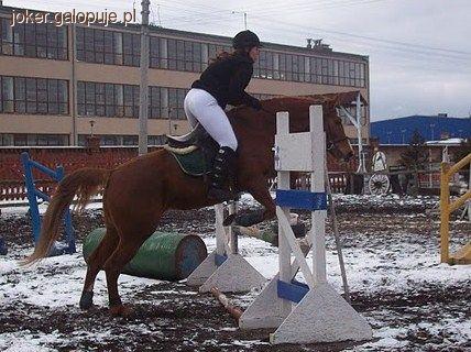 Wyjazd na Towarzyskie Zawody w OJ Rywal