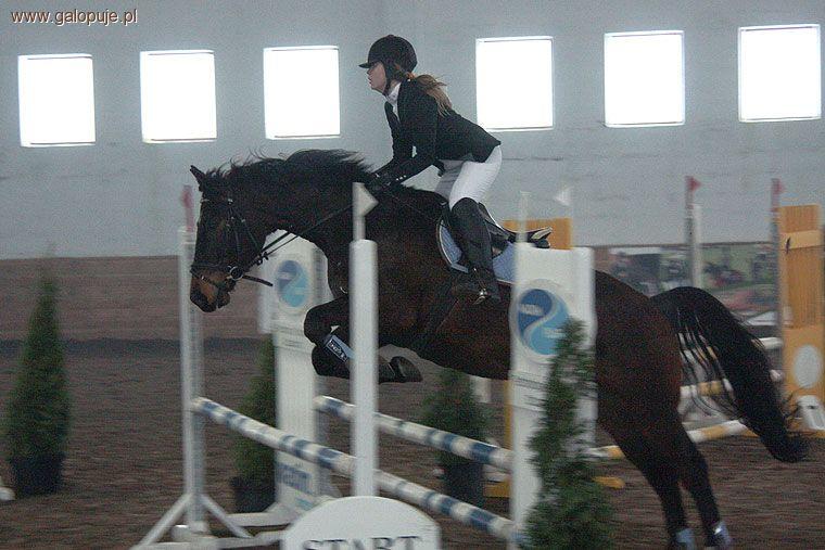 Halowe Zawody Regionalne w skokach przez przeszkody - Kuźnia Nowowiejska 2011