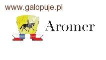 Halowe Zawody Regionalne w skokach przez przeszkody - KJ Aromer