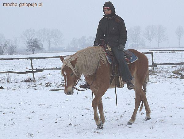 Golden Beaty w Rancho Rumak