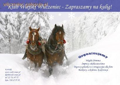 Kuligi w Wilczeńcu