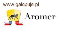 Klub Jeździecki Aromer Józefin - Halowe Zawody w ujeżdżeniu 2011