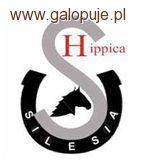 Targi jeździeckie Hippica Silesia 2011 Zabrze
