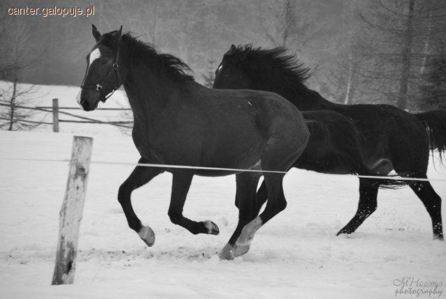 Ferie w SK Runowo
