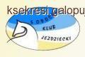 Zawody w skokach przez przeszkody Sopot 2011