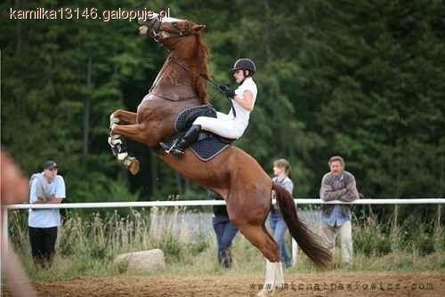 CSI** Poznań 2011 ,, II Memoriał Macieja Franciszka 