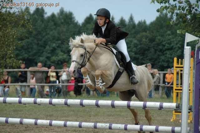 Regionalne zawody konne o puchar firmy Hedan - Wrocław 2011