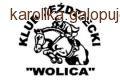 Sylwestrowe, Halowe Regionalne Zawody w skokach przez przeszkody Wolica