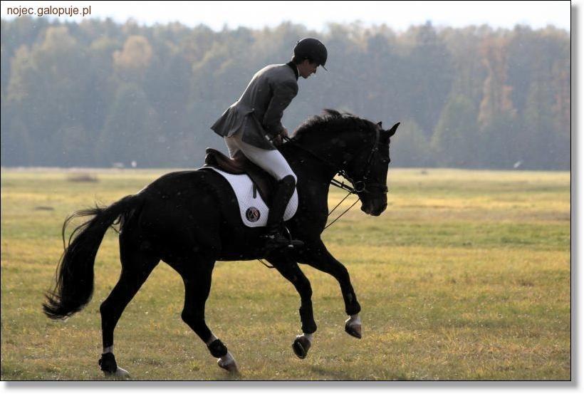 Spała, Hubertus Spalski 15-16 października 2011