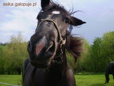 Dziwna rzecz !!!
