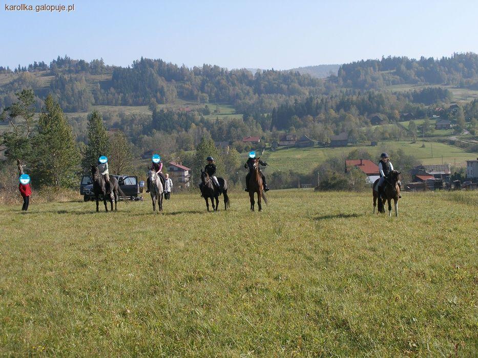Hubertus 2010 - stajnia KAS - MAR