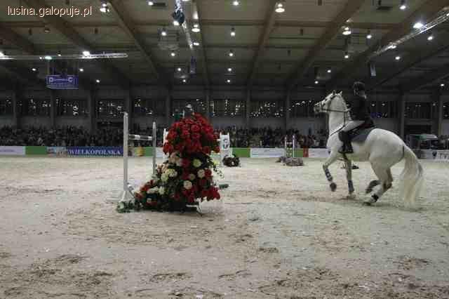 CSI** - W Poznań 2010 – Aleksandra Lusina